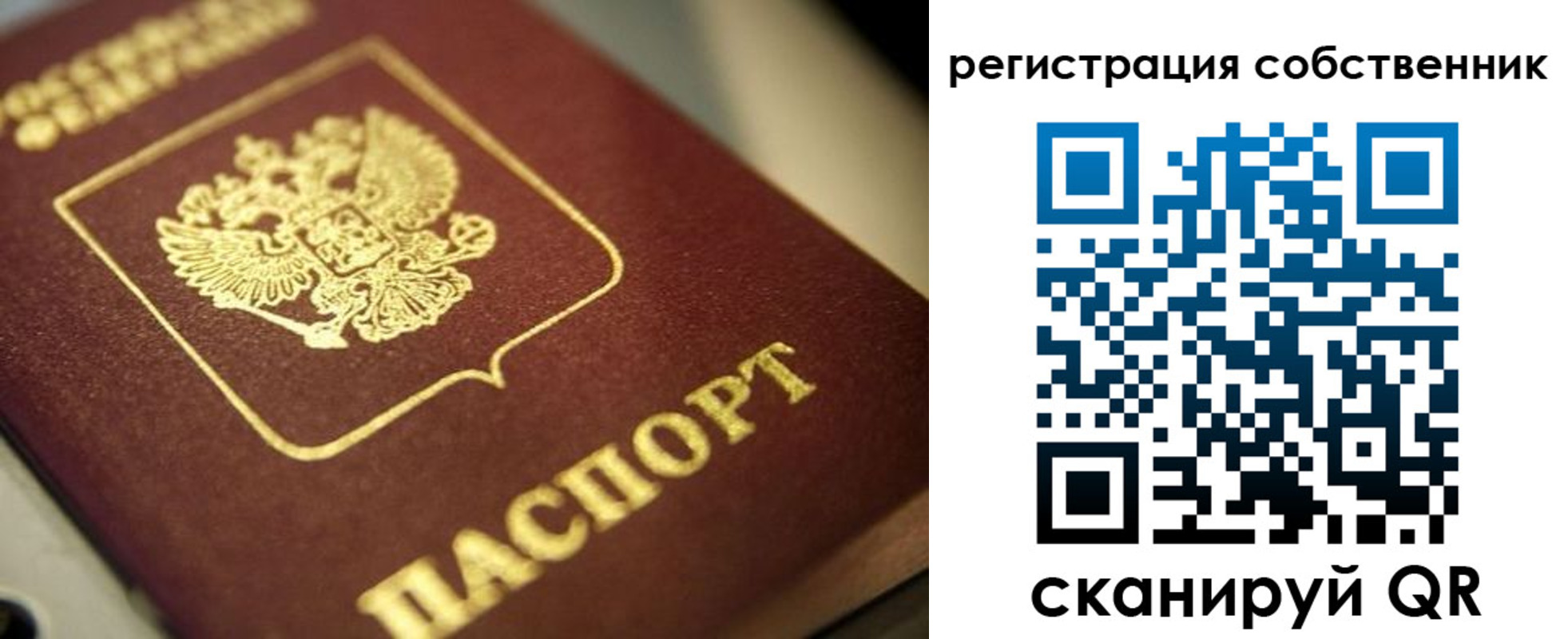 прописка в Суворове